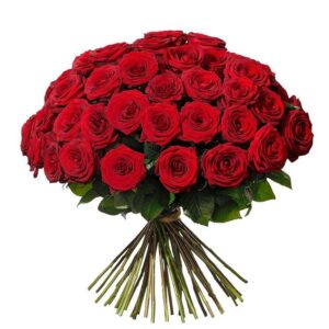 ROSOR