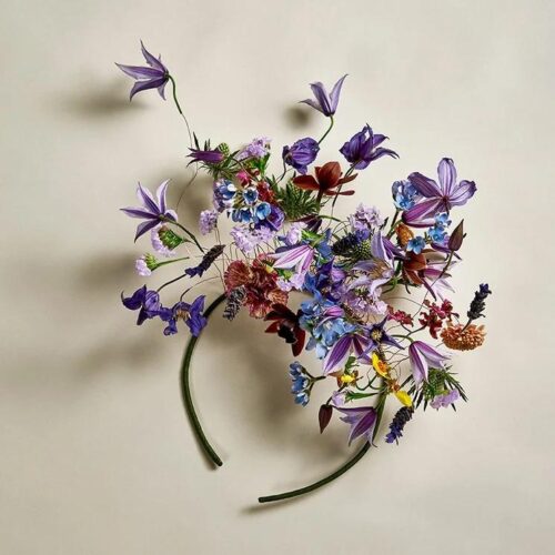 DIADEM KLEMATIS DIADEM KLEMATIS
