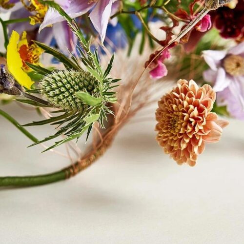 DIADEM KLEMATIS