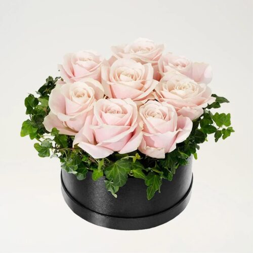 ROSA ROSBOXEN, STOR ROSA ROSBOXEN, STOR