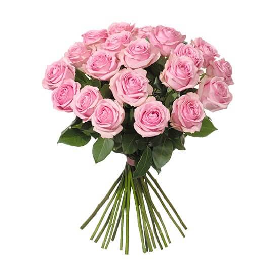 BUKETT "ROSA ROSOR"