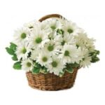 blommor i korg