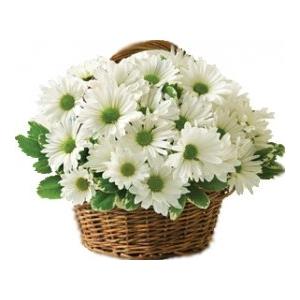 blommor i korg