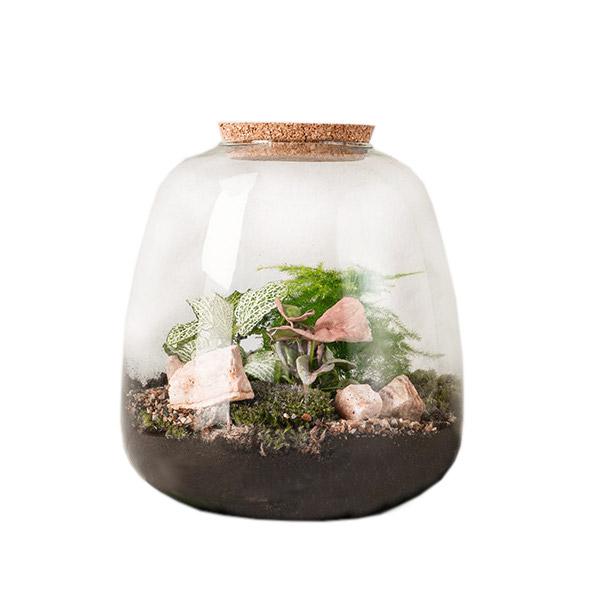 Terrarium